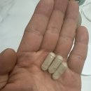 짐쉐이프 이미지