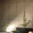 새별별하 이미지