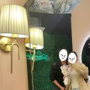 씨더라이트 이미지