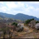 인삼전시관 이미지