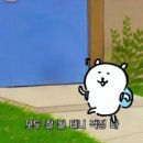 레블샵 이미지