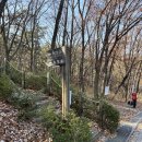 관악산 연주대 등산 / 최단코스(서울대 건설환경종합연구소 출발) 혼등 후기