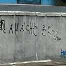 햅삐데이 이미지