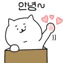 초돈파