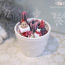 연말선물 크리스마스 트리 선인장화분캔들 주문제작 후기, 경성대 부경대 부산공방 예쁘다