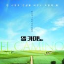 카미노 이미지