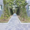 유성숲오투공인중개사사무소 이미지