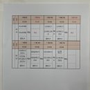 [티니아트스쿨] 케이크디자인반 후기