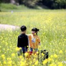 동림북구 어린이집 이미지