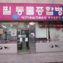 필동물병원 이미지