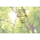 봄날애글씨공방 이미지
