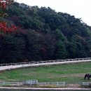 덕양목장1 이미지