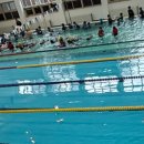 상평동 진주학생수영장 | 경상남도 교육청 진주학생수영장 50m 레인(1일 1 포 해피빈 콩 모으기)