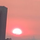 새날목장 이미지