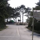 용유동사무소 이미지