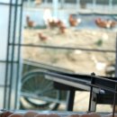 태안양계장 이미지