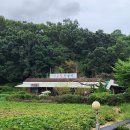 이포쌀밥정식 이미지