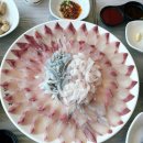 자갈치회센터맛집 창녕상회 부산자갈치시장대게 해산물도 풍성