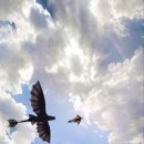 공단헬스 이미지