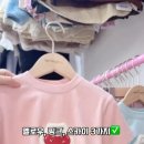 스프링데이 이미지