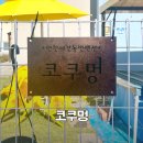 애견가족 | 연천 가족 여행 애견 동반 펜션 코쿠멍 내돈내산 후기