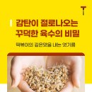 버거형의어쩌다마켓 이미지