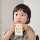 두돌아이 어린이 영양 간식 마이키즈 바닐라맛 후기