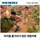 고양인테리어 이미지