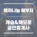 캐슬&해모로공인중개사사무소 이미지
