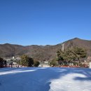 양재초급 | 지산포레스트리조트 스키장 가는법 탑레포츠 렌탈샵 내돈내산 후기 초급 리프트 평일 주간 대기시간