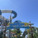 엘에이 LA 일상 | Knott’s Berry Farm & Soak City