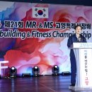 고양고양 이미지