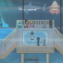 파라다이스D 이미지