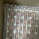 주식회사 하나 | 신선함이 다르다! 양계장청년 주식회사 유정란 20구 솔직 후기, 난각1번