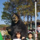 탑태권스쿨 이미지