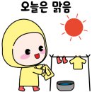 트랜디한제주