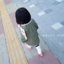 자연찬 味 네이버블로그