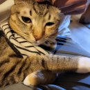 부동산 경매 실무와 생활 법률 | 법무사 실무 연수 제2주차 후기 - 등기하기싫어 인간과 죽음이란 무엇일까(feat.데미안 허스트 전시회)