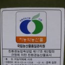 외갓집 사과