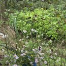 보태기밥상 이미지