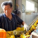 정영식농장 이미지