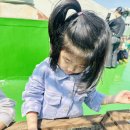 [4월 5주] 토마토 모종 심기🍅 &amp; 봄소풍🧺1 이미지