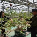 김영찬농장 이미지