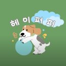 파주 애견카페 헤이퍼피 소형견 전용 애견카페 추천