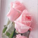 해피 Daum카페