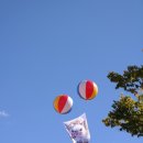 마포 새우젓 축제 2023년 첫째 날 후기