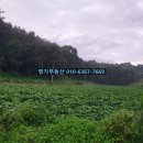 영주땅공인중개사사무소 이미지