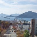 미성메디칼 이미지