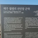 제주 선인장 군락지 이미지