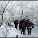 제80차 2016년 1월 정기산행 및 시산제 - 태백산(1,567m) 이미지